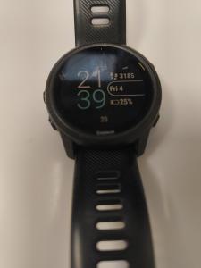 CS1219/2025  WRISTWATCH